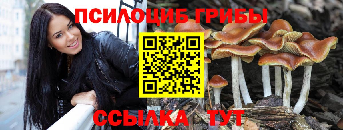 Псилоцибиновые грибы Magic Shrooms Нягань